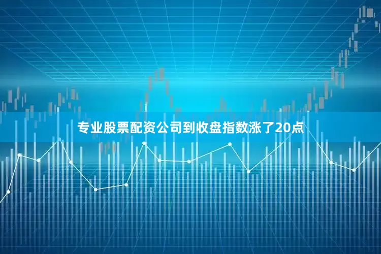 专业股票配资公司到收盘指数涨了20点