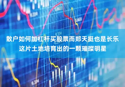 散户如何加杠杆买股票而郑天挺也是长乐这片土地培育出的一颗璀璨明星