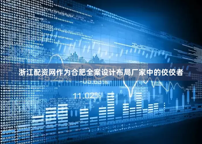 浙江配资网作为合肥全案设计布局厂家中的佼佼者