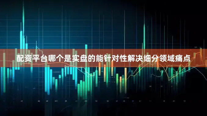 配资平台哪个是实盘的能针对性解决细分领域痛点