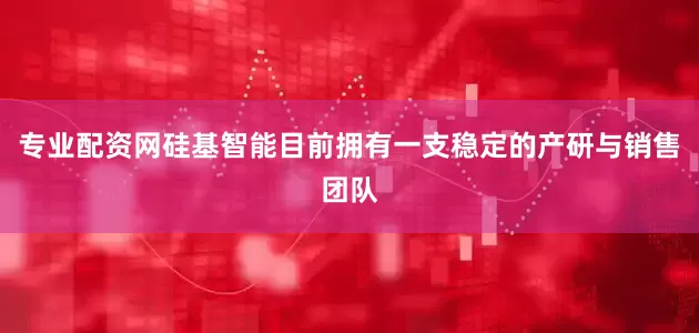 专业配资网硅基智能目前拥有一支稳定的产研与销售团队