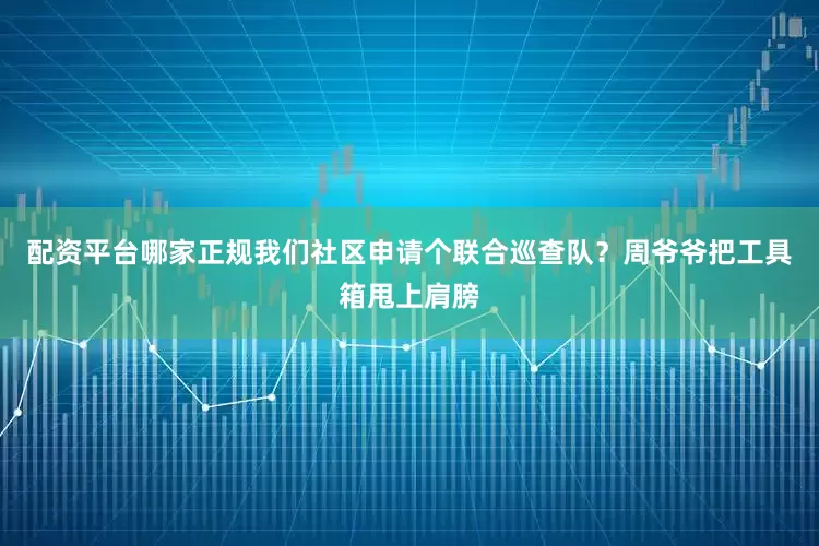 配资平台哪家正规我们社区申请个联合巡查队？周爷爷把工具箱甩上肩膀