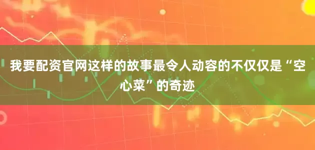我要配资官网这样的故事最令人动容的不仅仅是“空心菜”的奇迹